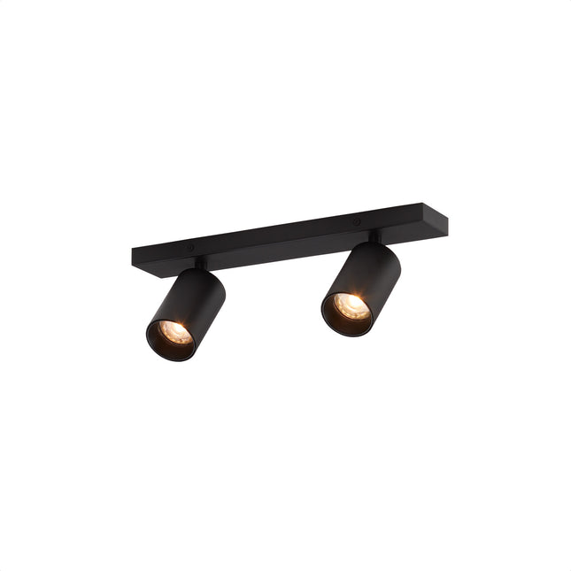 DMQ Plafondspot Elmont 2 Zwart