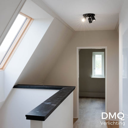 DMQ Plafondspot Elmont 3 Rond Zwart