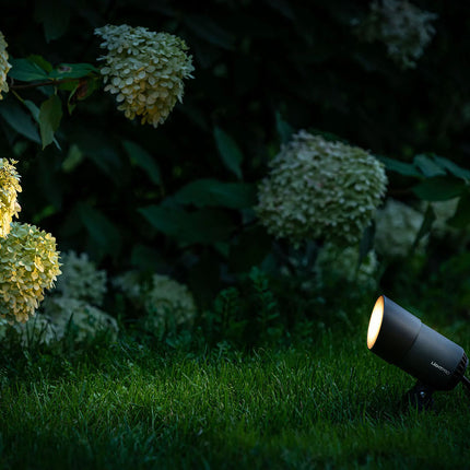 Lightpro Castor 4 12V